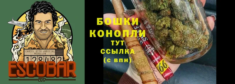 Бошки марихуана ГИДРОПОН  Камень-на-Оби 